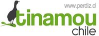 Logo-Tinamu-Chile-puequeno (1) (1)